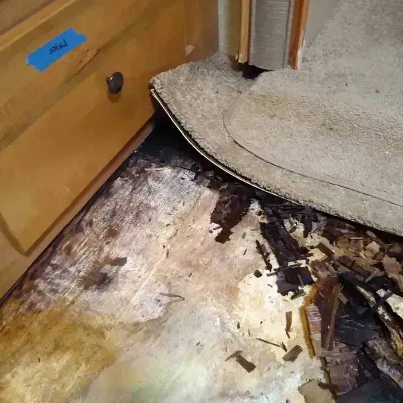 Wood Floor Water Damage in Cuyahoga County, OH